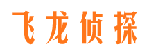 临港侦探公司